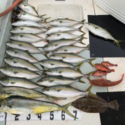 オーシャンスター(Ocean Star) 釣果