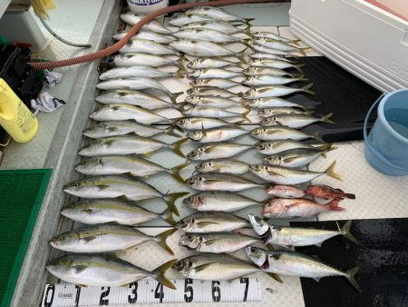 オーシャンスター(Ocean Star) …