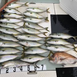 オーシャンスター(Ocean Star) 釣果