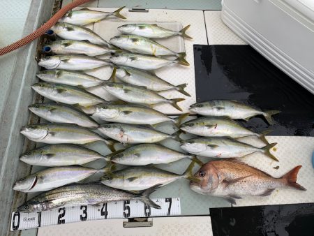 オーシャンスター(Ocean Star) …