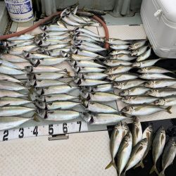 オーシャンスター(Ocean Star) 釣果