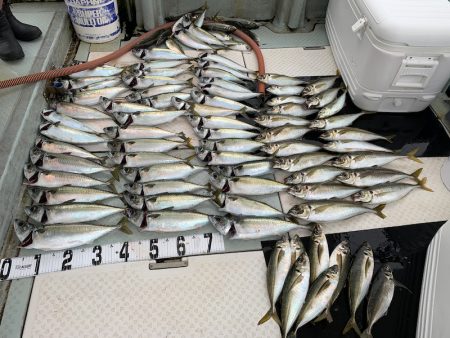 オーシャンスター(Ocean Star) 釣果