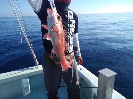 ひな丸 釣果