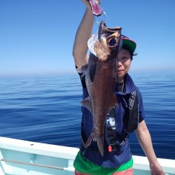 ひな丸 釣果