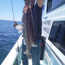 ひな丸 釣果