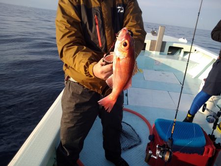 ひな丸 釣果