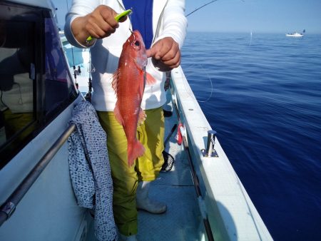 ひな丸 釣果