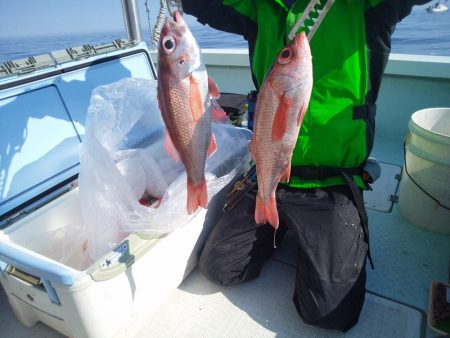 ひな丸 釣果