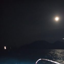 BlueNote Fishing Taxi 釣果