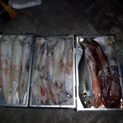 BlueNote Fishing Taxi 釣果