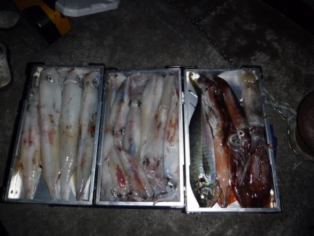 BlueNote Fishing Taxi 釣果