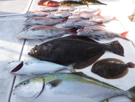 ＪＤＩ　Ｒａｃｉｎｇ　シールズマリンレジャ…