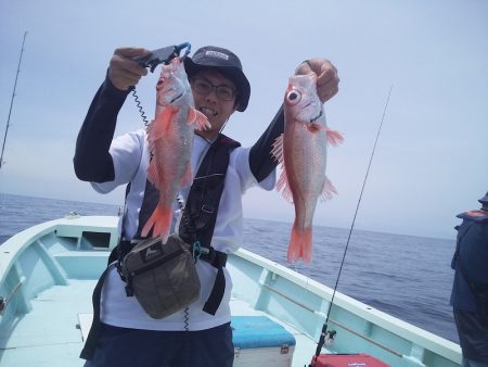 ひな丸 釣果