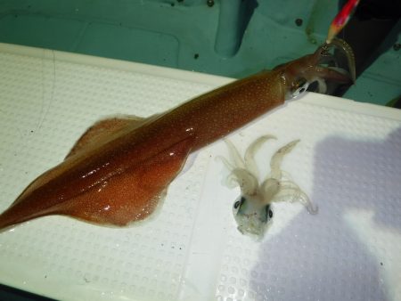 BlueNote Fishing Taxi 釣果