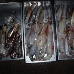 BlueNote Fishing Taxi 釣果