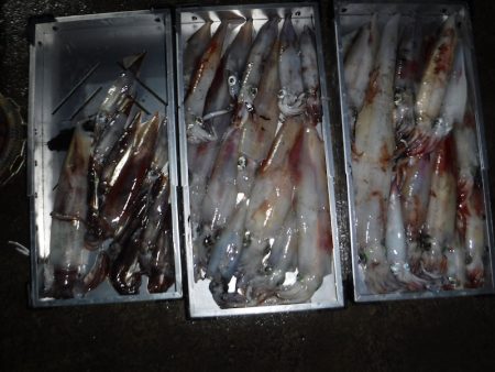 BlueNote Fishing Taxi 釣果