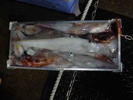 BlueNote Fishing Taxi 釣果