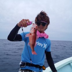 ひな丸 釣果