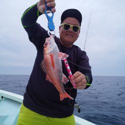 ひな丸 釣果