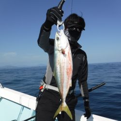 BlueNote Fishing Taxi 釣果