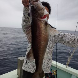 ひな丸 釣果