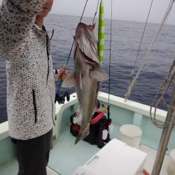 ひな丸 釣果