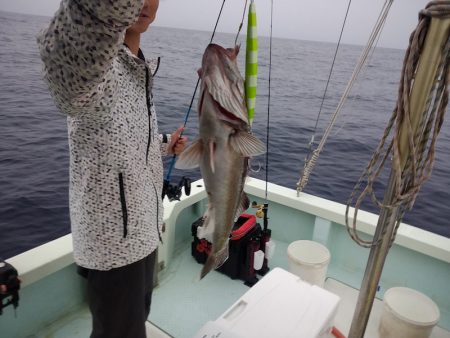 ひな丸 釣果