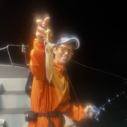 South Current 釣果