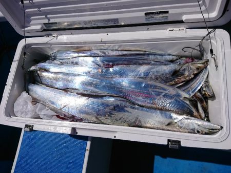 深川 吉野屋 釣果