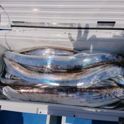 深川 吉野屋 釣果