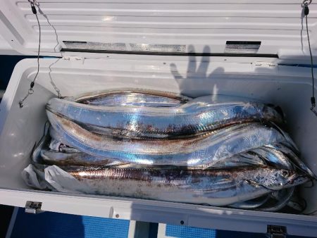 深川 吉野屋 釣果