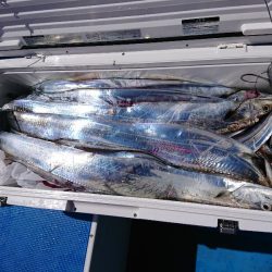 深川 吉野屋 釣果