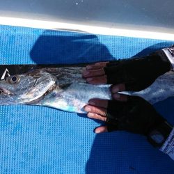 深川 吉野屋 釣果