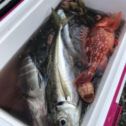 もと明丸 釣果