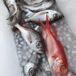 もと明丸 釣果
