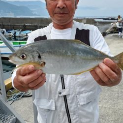 ゆたか丸 釣果