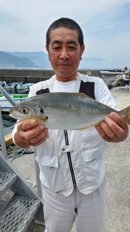 ゆたか丸 釣果