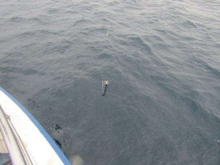 ジギング船 BLUEWATER 釣果