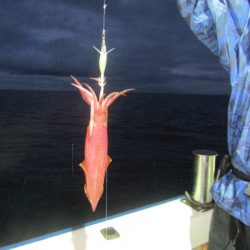 ジギング船 BLUEWATER 釣果