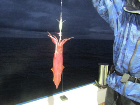 ジギング船 BLUEWATER 釣果