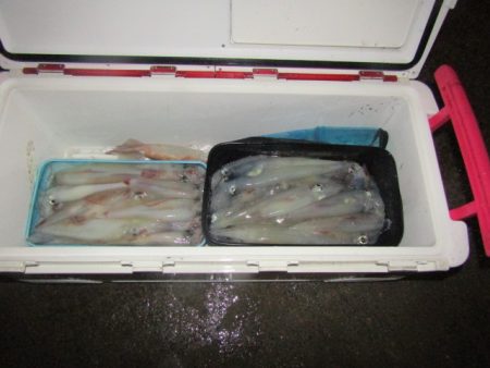 ジギング船 BLUEWATER 釣果