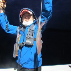 ジギング船 BLUEWATER 釣果