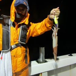 ジギング船 BLUEWATER 釣果