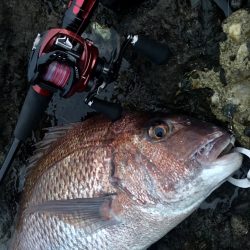 予想外のゲスト