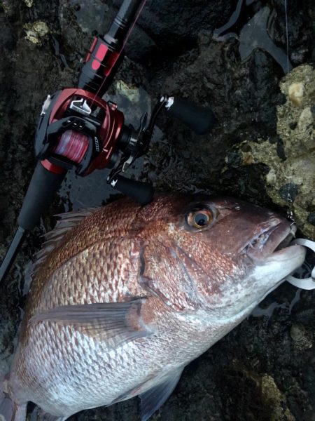 予想外のゲスト