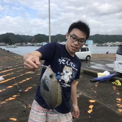 南国色々!デカウツボ多数…