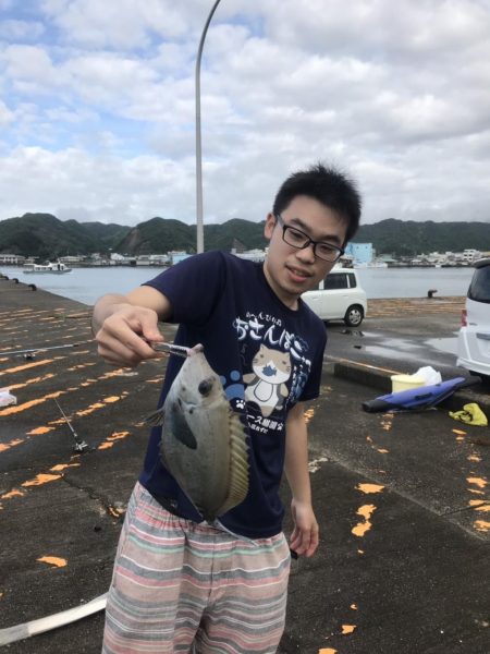 南国色々!デカウツボ多数…