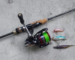 釣果は、右肩下がりだけど、カマスは最高❗️