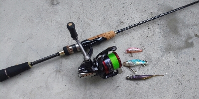 釣果は、右肩下がりだけど、カマスは最高❗️