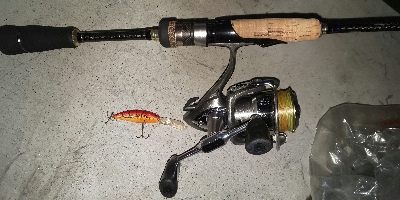 カマスは楽しい